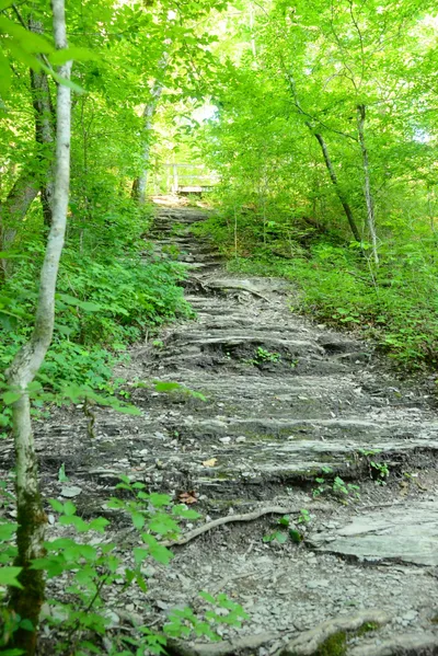 DSC_2856 (Large).JPG